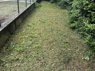 Débroussaillage après intervention