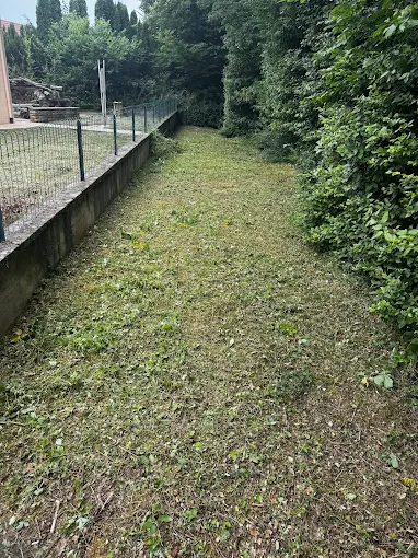 Jardin après le débroussaillage réalisé par Michel Jardinier