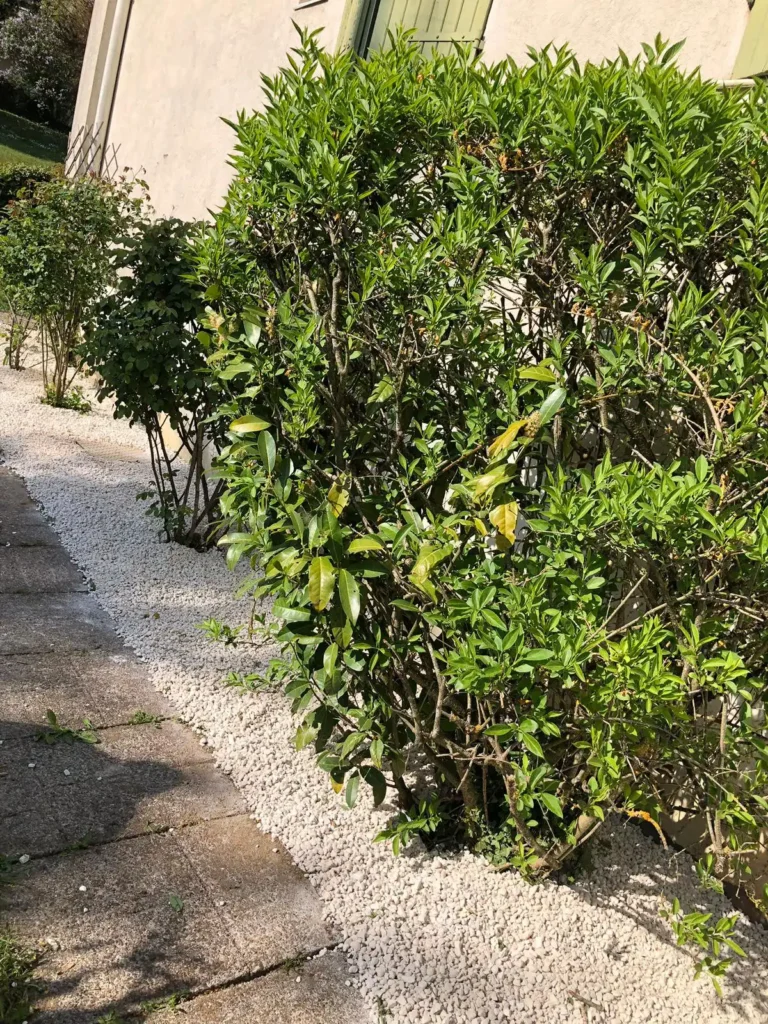 aménagement extérieur