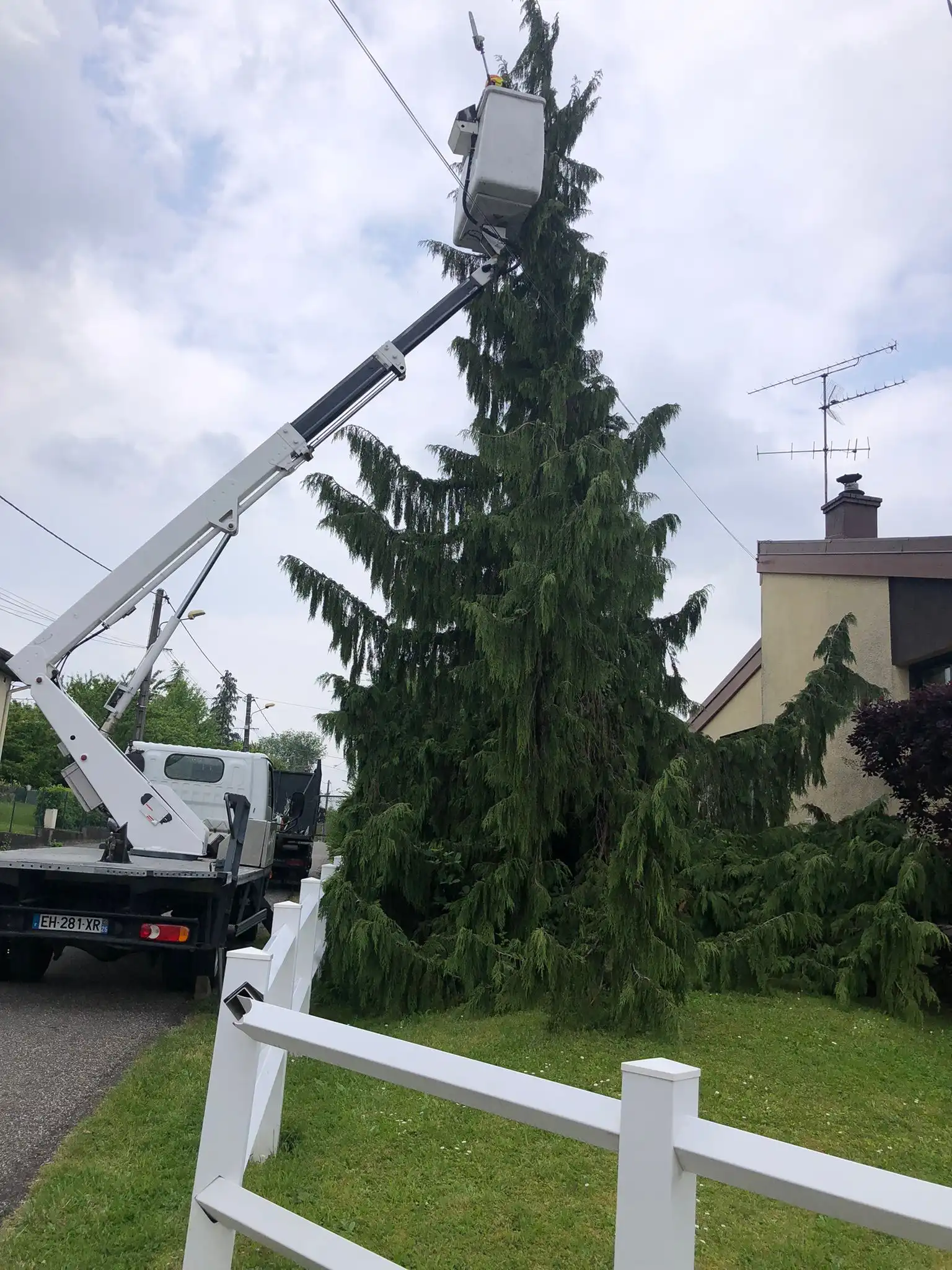 Travaux d’élagage d’un arbre avec nacelle réalisés à Montbéliard par Michel Jardinier Élagueur