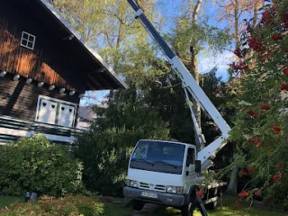 élagage en hauteur