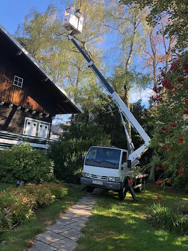 Élagueur en intervention pour la taille d’un arbre en hauteur près de Montbéliard